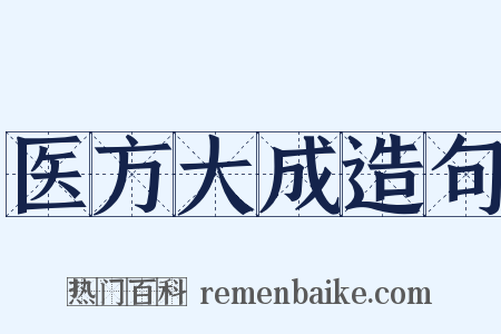 医方大成造句是什么意思的图片